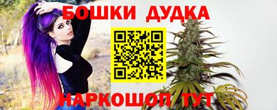 прущие крисы Кингисепп