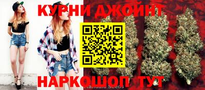 прущие крисы Кингисепп