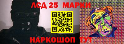 прущие крисы Кингисепп