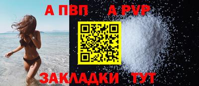 прущие крисы Кингисепп