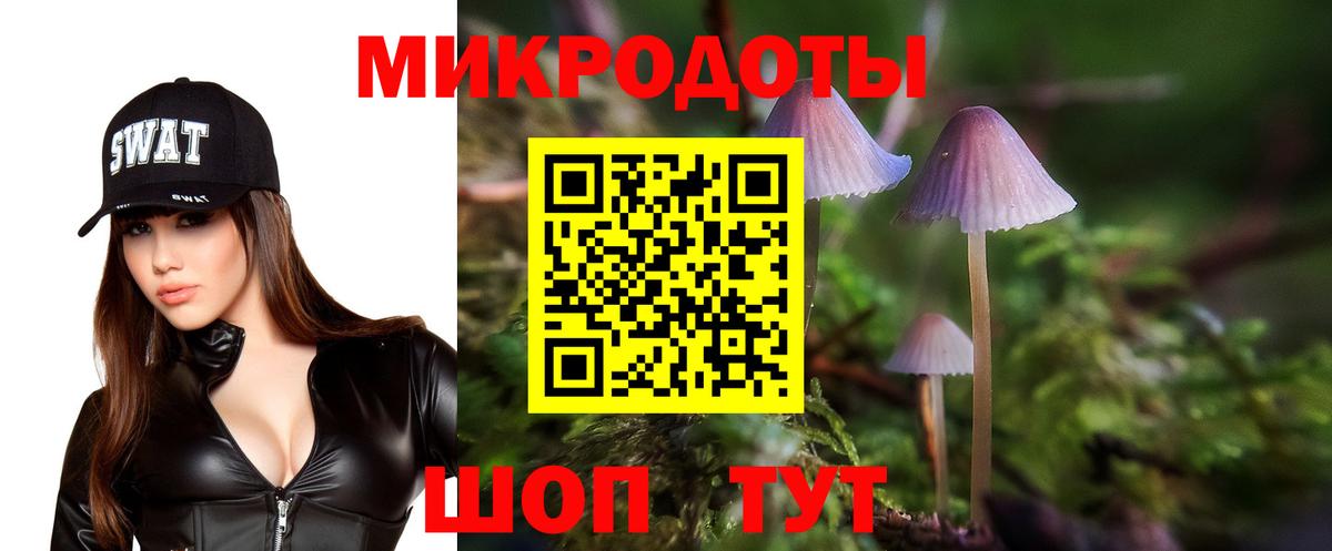 Псилоцибиновые грибы Psilocybine cubensis Гуково